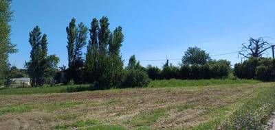 Terrain et maison à Ponteilla en Pyrénées-Orientales (66) de 120 m² à vendre au prix de 394000€ - 3