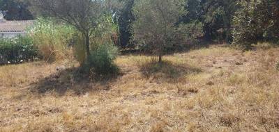 Terrain à Puget-sur-Argens en Var (83) de 647 m² à vendre au prix de 199000€ - 3
