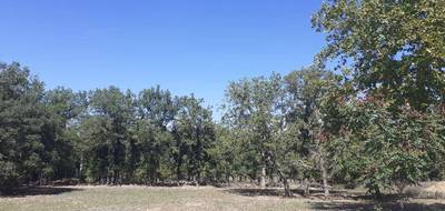 Terrain à Tourrettes en Var (83) de 1500 m² à vendre au prix de 235000€ - 3