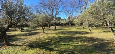 Terrain et maison à Salernes en Var (83) de 90 m² à vendre au prix de 269000€ - 4