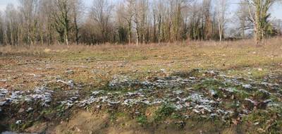 Terrain et maison à Saint-Étienne-de-Vicq en Allier (03) de 97 m² à vendre au prix de 201600€ - 3