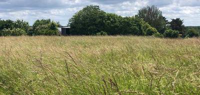 Terrain et maison à Souesmes en Loir-et-Cher (41) de 93 m² à vendre au prix de 213595€ - 4