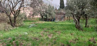 Terrain et maison à Flayosc en Var (83) de 75 m² à vendre au prix de 317000€ - 4