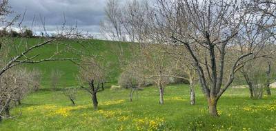 Terrain et maison à Le Cabanial en Haute-Garonne (31) de 91 m² à vendre au prix de 152600€ - 4