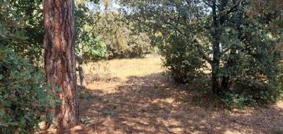 Terrain à Puget-sur-Argens en Var (83) de 647 m² à vendre au prix de 199000€ - 1