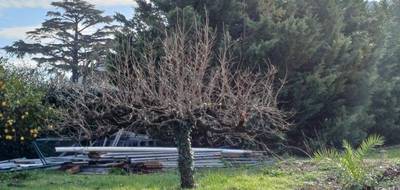 Terrain et maison à Pignans en Var (83) de 85 m² à vendre au prix de 309000€ - 4