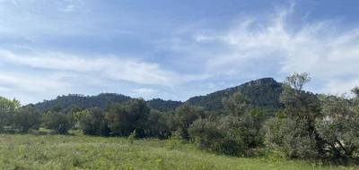 Terrain à Lauret en Hérault (34) de 788 m² à vendre au prix de 179900€ - 3
