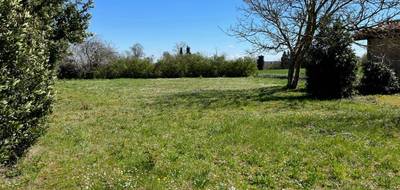 Terrain à Airoux en Aude (11) de 1470 m² à vendre au prix de 74990€ - 3