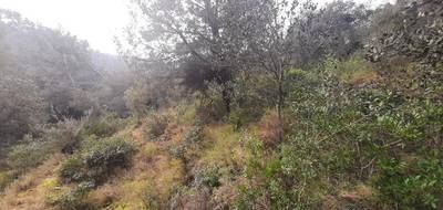 Terrain et maison à Vidauban en Var (83) de 142 m² à vendre au prix de 518000€ - 4