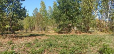 Terrain et maison à Mézens en Tarn (81) de 116 m² à vendre au prix de 288000€ - 4