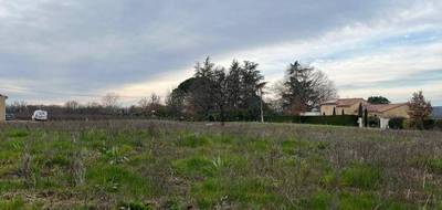 Terrain et maison à Montans en Tarn (81) de 186 m² à vendre au prix de 462000€ - 3