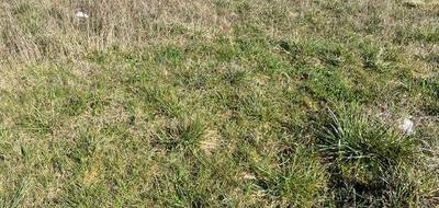 Terrain et maison à Illiers-Combray en Eure-et-Loir (28) de 88 m² à vendre au prix de 194488€ - 3