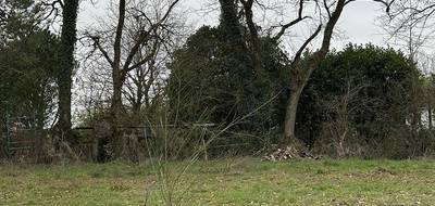 Terrain et maison à Saint-Fulgent en Vendée (85) de 110 m² à vendre au prix de 252001€ - 3