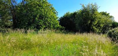 Terrain à Saint-Just-le-Martel en Haute-Vienne (87) de 1515 m² à vendre au prix de 74000€ - 3