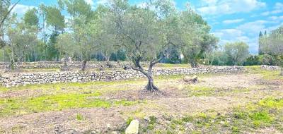 Terrain et maison à Bagnols-en-Forêt en Var (83) de 120 m² à vendre au prix de 535000€ - 4