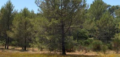 Terrain et maison à Brignoles en Var (83) de 83 m² à vendre au prix de 290000€ - 4