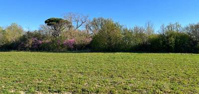 Terrain à Labastide-d'Anjou en Aude (11) de 748 m² à vendre au prix de 78450€ - 3
