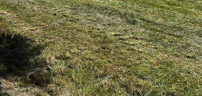 Terrain à Pisany en Charente-Maritime (17) de 530 m² à vendre au prix de 60000€ - 1