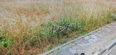 Terrain à La Lande-de-Fronsac en Gironde (33) de 453 m² à vendre au prix de 85600€ - 1