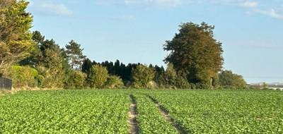 Terrain et maison à Sains-en-Gohelle en Pas-de-Calais (62) de 94 m² à vendre au prix de 210000€ - 3