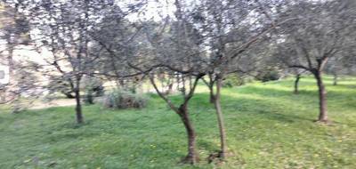 Terrain à Draguignan en Var (83) de 1000 m² à vendre au prix de 170000€ - 4