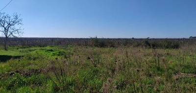 Terrain à Portets en Gironde (33) de 1330 m² à vendre au prix de 150000€ - 2