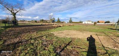 Terrain à Lagrave en Tarn (81) de 1550 m² à vendre au prix de 69000€ - 3