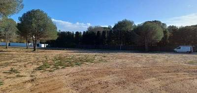 Terrain et maison à Perpignan en Pyrénées-Orientales (66) de 170 m² à vendre au prix de 849000€ - 4