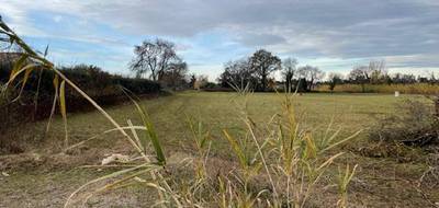 Terrain à Saint-Martin-de-Crau en Bouches-du-Rhône (13) de 835 m² à vendre au prix de 209900€ - 2