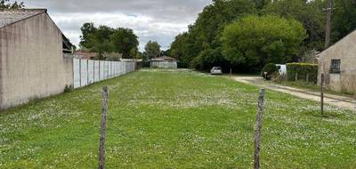 Terrain à Saint-Estèphe en Gironde (33) de 3117 m² à vendre au prix de 98800€ - 4