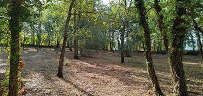 Terrain à Régusse en Var (83) de 2495 m² à vendre au prix de 118500€ - 2