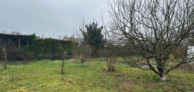 Terrain et maison à Montreuil-sur-Loir en Maine-et-Loire (49) de 120 m² à vendre au prix de 297800€ - 3