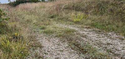 Terrain à Gaillac en Tarn (81) de 726 m² à vendre au prix de 55000€ - 2