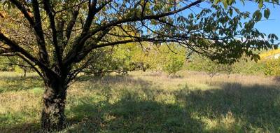 Terrain à Pignans en Var (83) de 500 m² à vendre au prix de 99000€ - 3