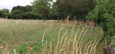Terrain et maison à Thil en Haute-Garonne (31) de 145 m² à vendre au prix de 346000€ - 3