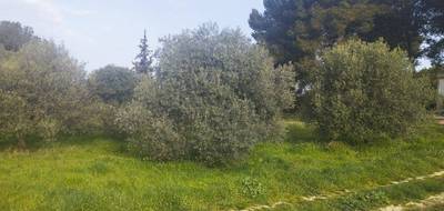 Terrain et maison à Saint-Chamas en Bouches-du-Rhône (13) de 150 m² à vendre au prix de 547000€ - 4