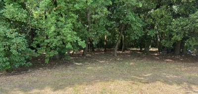 Terrain à Cognac en Charente (16) de 2000 m² à vendre au prix de 130435€ - 4