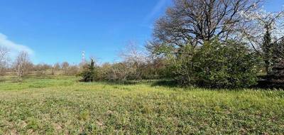 Terrain et maison à Gaillac en Tarn (81) de 186 m² à vendre au prix de 480000€ - 3