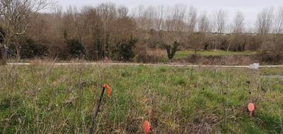 Terrain à Vaux-sur-Mer en Charente-Maritime (17) de 426 m² à vendre au prix de 203000€ - 2