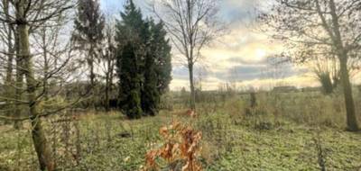 Terrain et maison à Lorgies en Pas-de-Calais (62) de 165 m² à vendre au prix de 506000€ - 4
