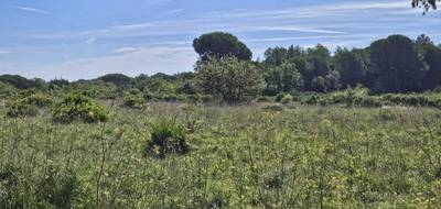 Terrain à Puget-sur-Argens en Var (83) de 656 m² à vendre au prix de 250000€ - 4