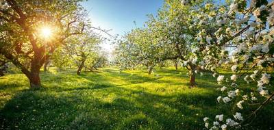 Terrain et maison à Villy-le-Pelloux en Haute-Savoie (74) de 90 m² à vendre au prix de 602761€ - 3
