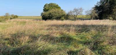 Terrain et maison à Grandfresnoy en Oise (60) de 150 m² à vendre au prix de 357000€ - 3