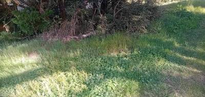Terrain à Andernos-les-Bains en Gironde (33) de 655 m² à vendre au prix de 287000€ - 3