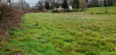 Terrain et maison à Saint-Vaury en Creuse (23) de 111 m² à vendre au prix de 234400€ - 4