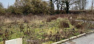 Terrain à Cambrai en Nord (59) de 642 m² à vendre au prix de 56000€ - 2