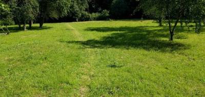 Terrain et maison à Villeparisis en Seine-et-Marne (77) de 85 m² à vendre au prix de 299000€ - 3
