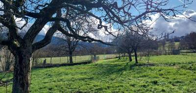 Terrain et maison à Sciez en Haute-Savoie (74) de 112 m² à vendre au prix de 554028€ - 3