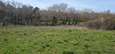 Terrain à Fox-Amphoux en Var (83) de 4800 m² à vendre au prix de 140000€ - 1
