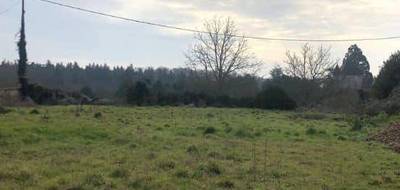 Terrain et maison à Migné-Auxances en Vienne (86) de 50 m² à vendre au prix de 198284€ - 3